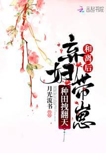 和离后，弃妇带崽种田拽翻天